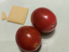 -掂档潮汕牛肉火锅(沈阳万象城店)
