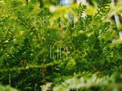 -成都市活水公园