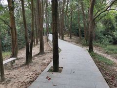 -火炉山森林公园