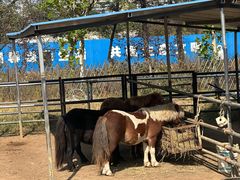 -秦皇岛野生动物园