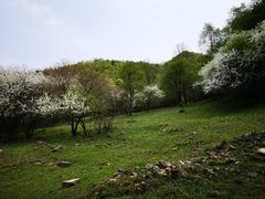 -大水川景区