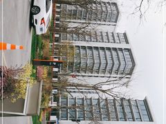 -上海山野camping·户外天幕烧烤·团建拓展营地