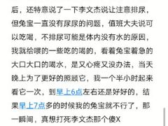 -北京观赏动物医院·24小时大型综合·猫专科·异宠专科