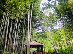 -宝岩生态观光园