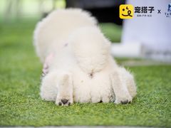 -中海环宇荟