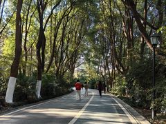 -新洲生态园