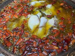 -雲蜀龙阁·金牌水煮鱼(方庄店)