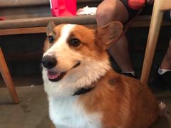 -the rug 飞毯 (朝阳公园店)