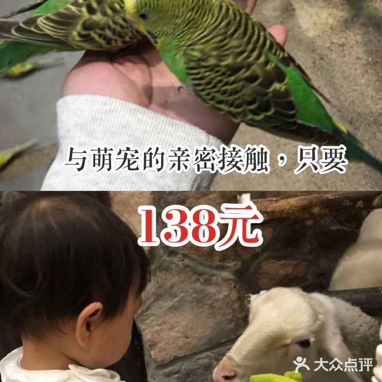 与萌宠的亲密接触,只要138元