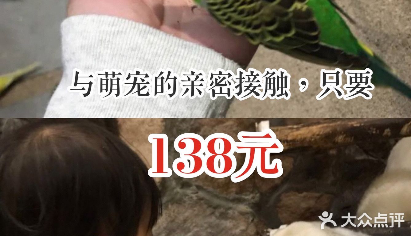 与萌宠的亲密接触，只要138元