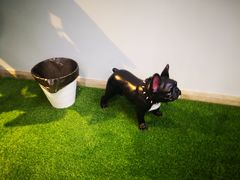 -TOB FIT健身·拉伸工作室