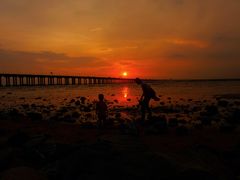 -宝安西湾红树林湿地公园