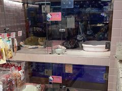 -FAELING PETS美天灵宠物(富力广场店)