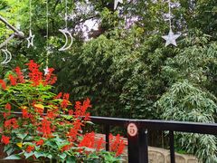 -丽泽山庄·生态怀柔菜·虹鳟鱼(红螺寺店)