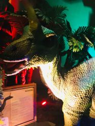 -恐龙探索乐园(磁器口店)