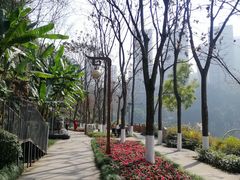 -重庆彩云湖湿地公园