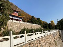 -遵化市禅林寺古银杏风景园