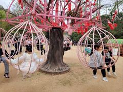 -南宁良凤江国家森林公园