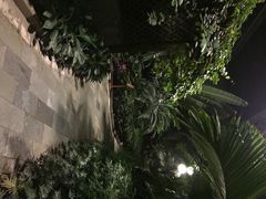 iphone_upload_pic-龙达温泉生态城