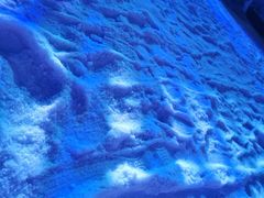 -世界之窗阿尔卑斯冰雪世界
