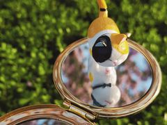 -海棠花溪(元大都城垣遗址公园)