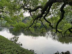 -潮州西湖