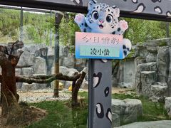 -青藏高原野生动物园