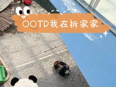 -沈阳森林动物园