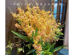 -廊亦舫Lang Yi Fang Restaurant(金桥店)