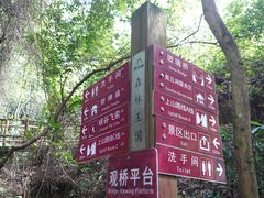 -南丹山森林王国