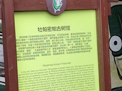 -呀路古热带植物园