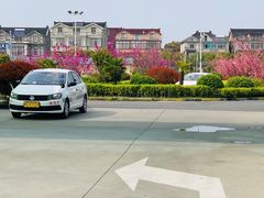 上课实景-无忧学车·华茂基地(宝山校区)