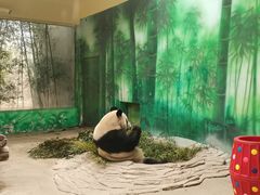 -杭州野生动物世界