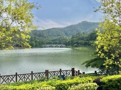 -番禺大夫山森林公园