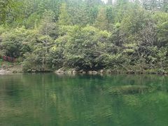 -石台牯牛降景区