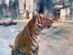 -南昌动物园