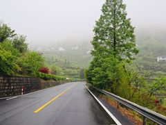 -四明山国家森林公园