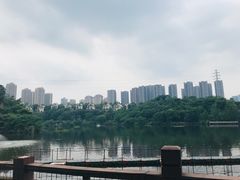 -重庆彩云湖湿地公园