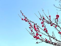 -嘉北郊野公园