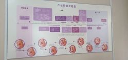 点击看大图 -武汉百佳妇产医院