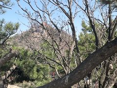 -鲁山国家森林公园