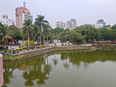 -金砂公园