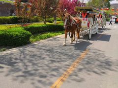 -石家庄市动物园