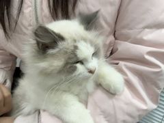 -心仪动物医院·牙专科·肿瘤·心脏科(西客站院)