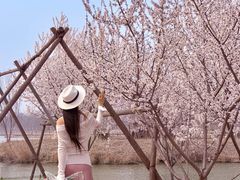 -西青郊野公园