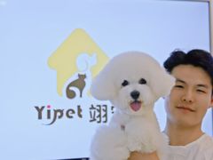 -翊宠yipet猫狗购宠庄园