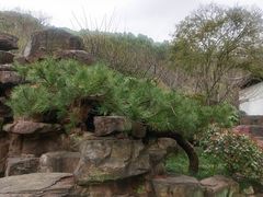 -苏州上方山国家森林公园