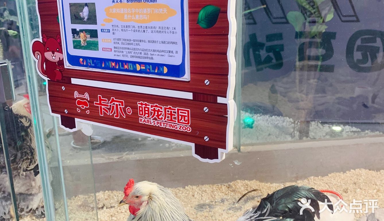 🉑爱治愈系小动物谁能不爱？周末亲子游宝藏地，济南萌宠乐园