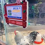 🉑爱治愈系小动物谁能不爱？周末亲子游宝藏地，济南萌宠乐园