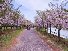 -上海海湾国家森林公园